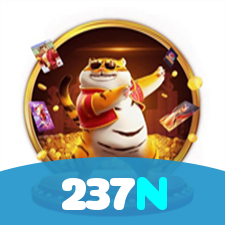 237N visual