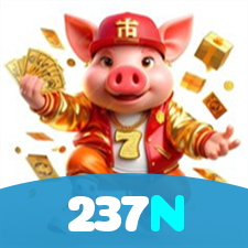 237N visual