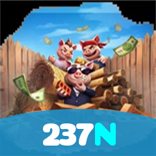 237N visual