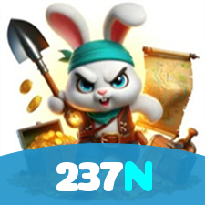 237N visual