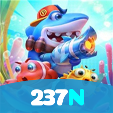 237N visual