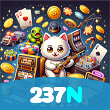 237N visual