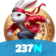 237N visual