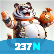 237N visual