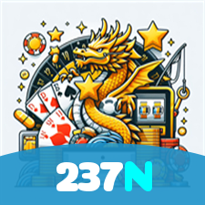 237N visual