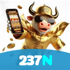 237N visual