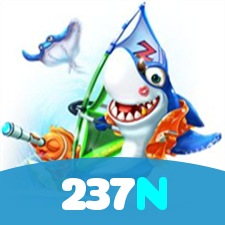 237N visual