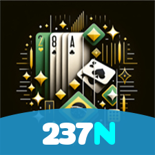 237N visual