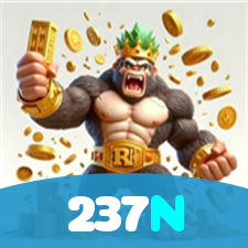 237N visual