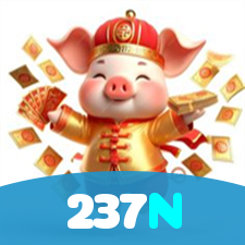 237N visual