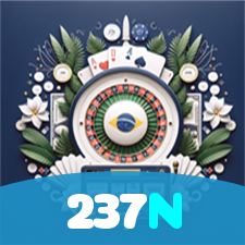 237N visual