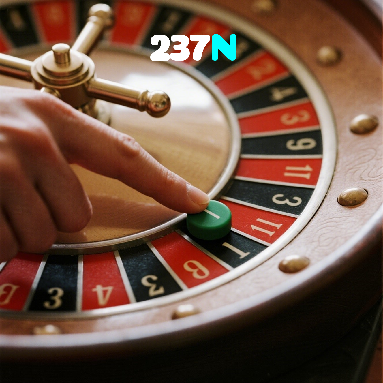 237N visual