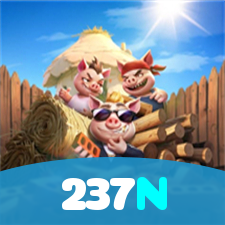 237N visual