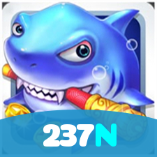237N visual
