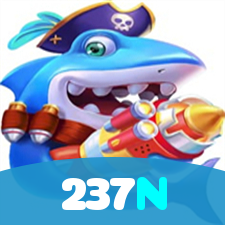 237N visual