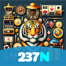 237N visual