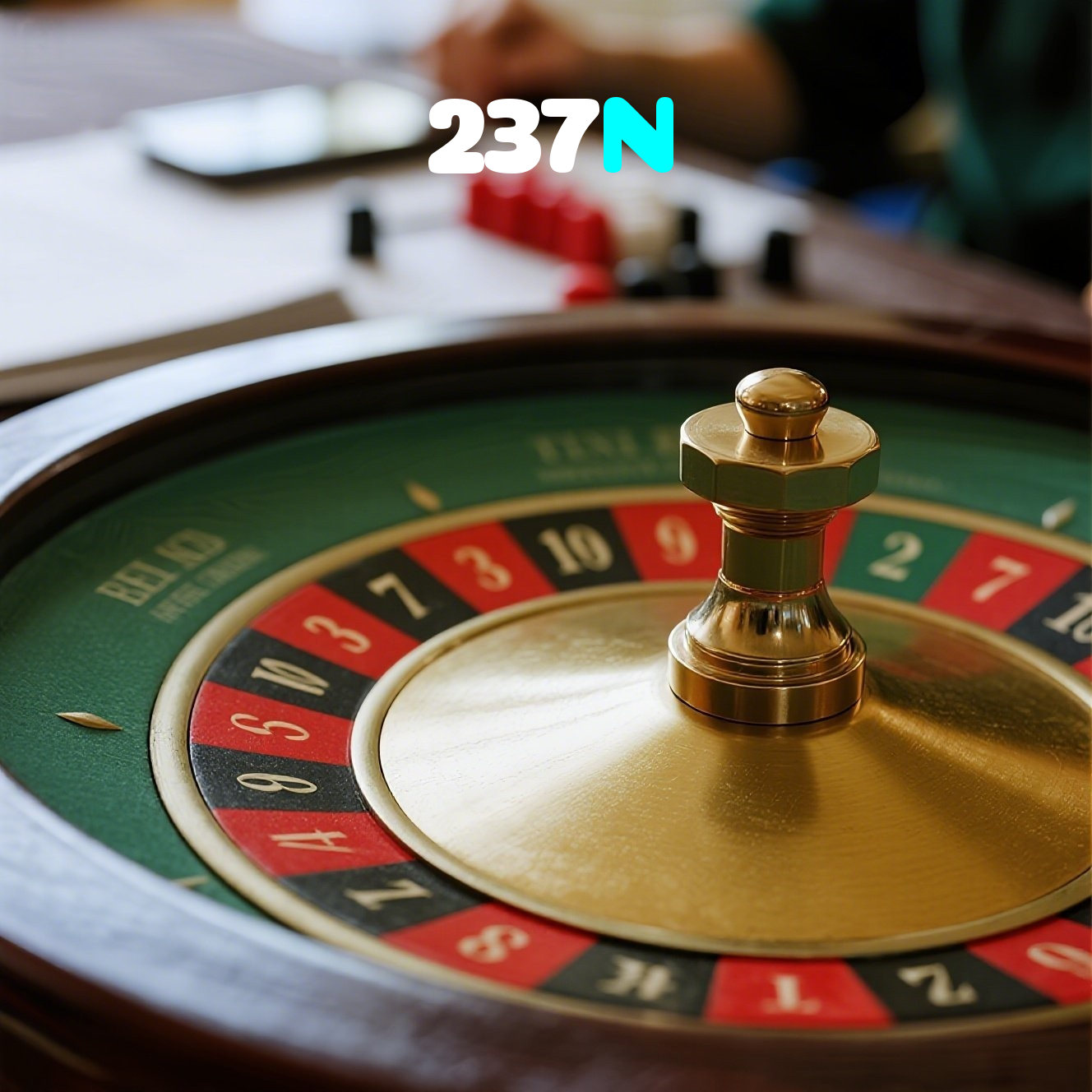 237N visual