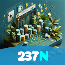 237N visual