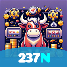237N visual