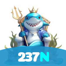 237N visual