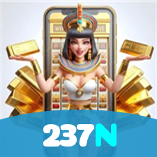 237N visual