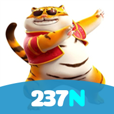 237N visual