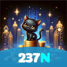 237N visual