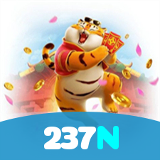 237N visual