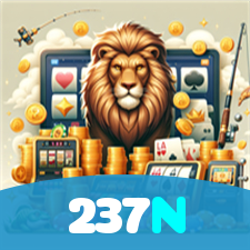237N visual