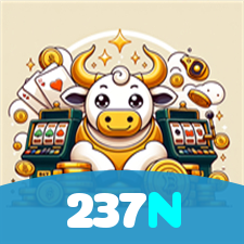 237N visual