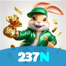 237N visual
