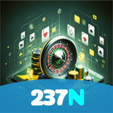 237N visual