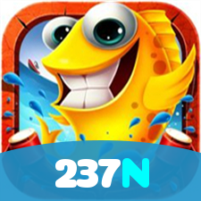 237N visual