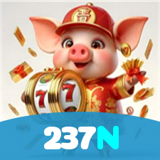 237N visual
