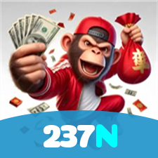 237N visual