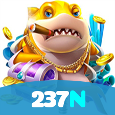 237N visual