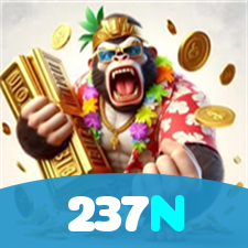 237N visual
