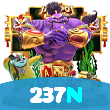237N visual